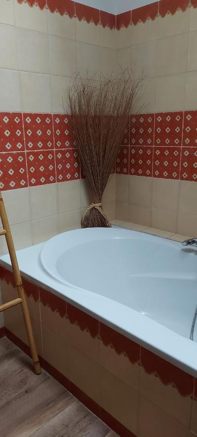 Chez Margarett Apartment Royan Luaran gambar